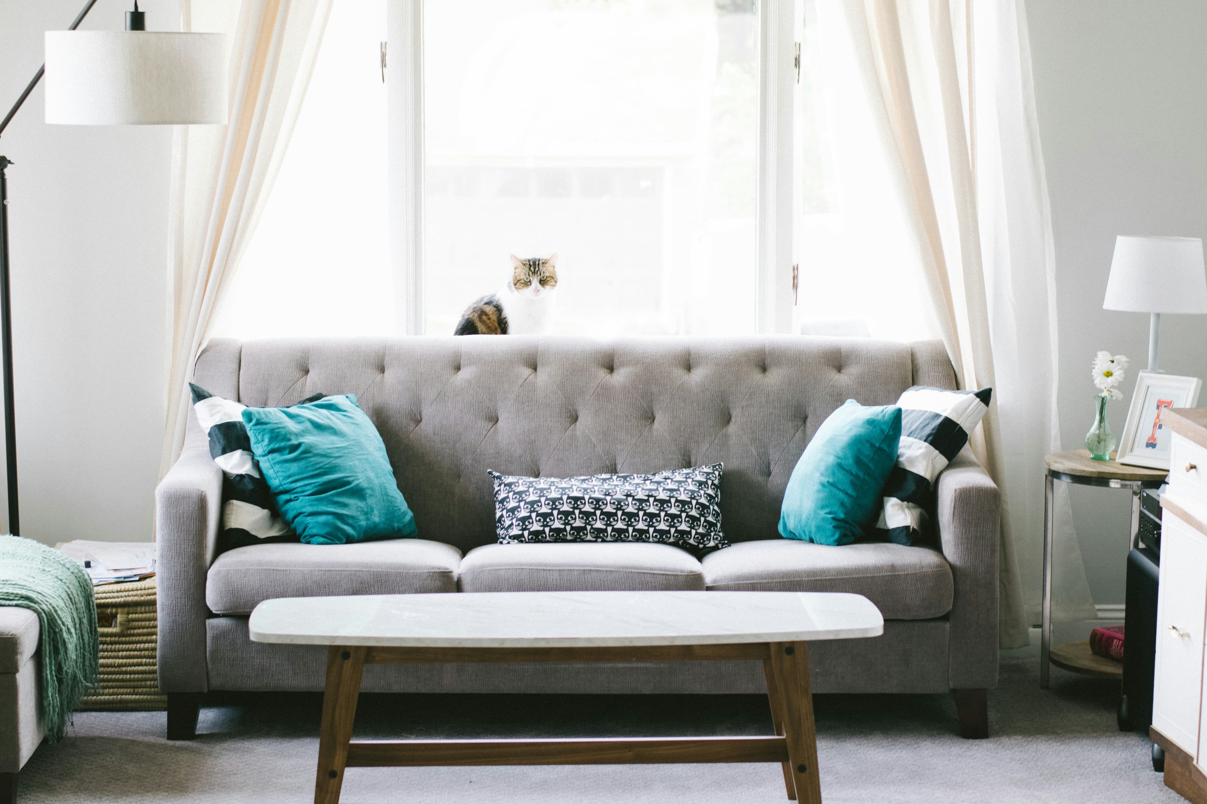 Carpet & Furniture Cleaning