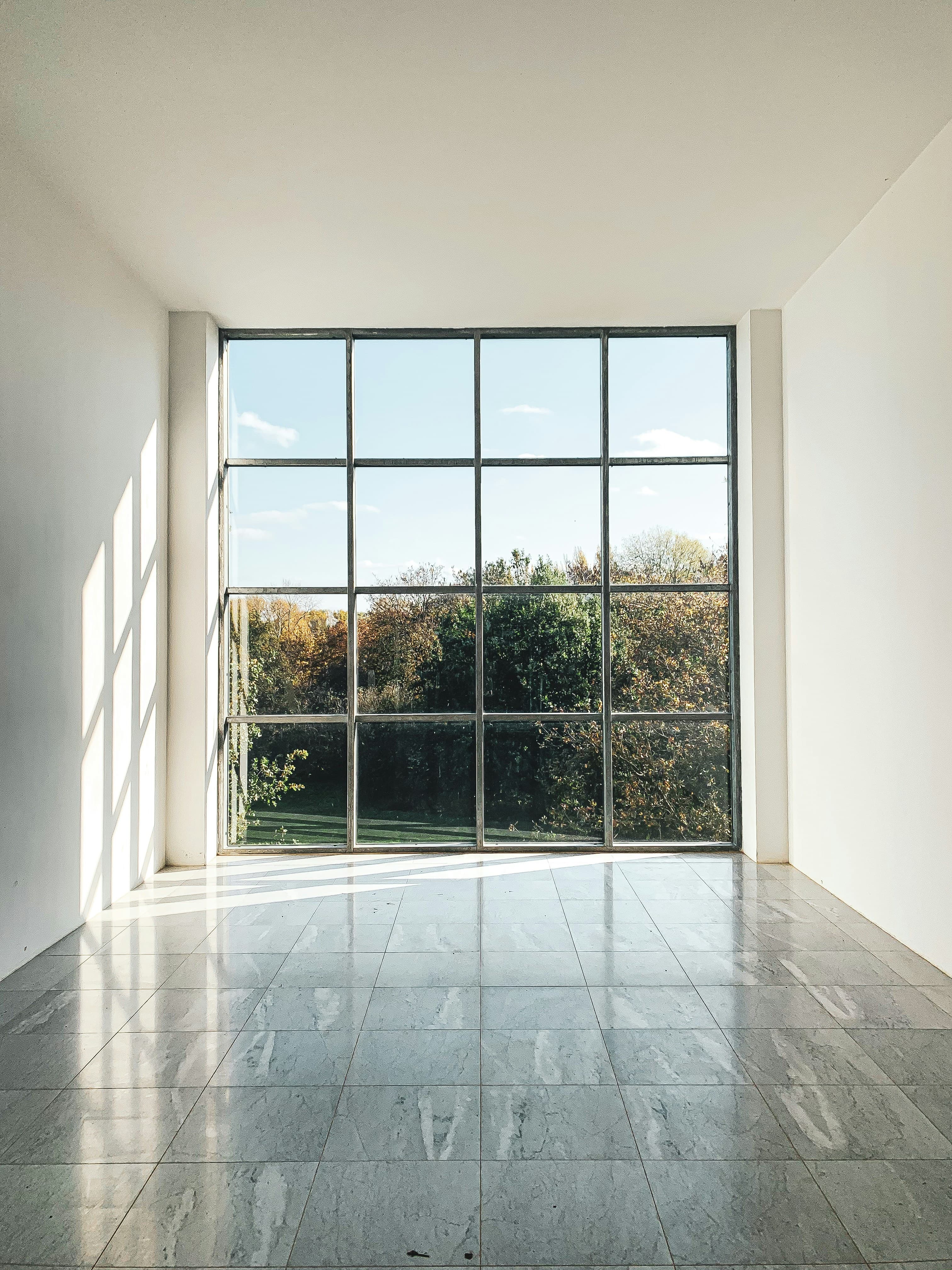 Window Cleaning